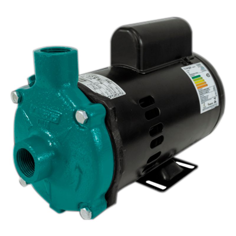 Motobomba-1-HP-60HZ-monofasica-ST-ECS-100MP-40542-ELETROPLAS-