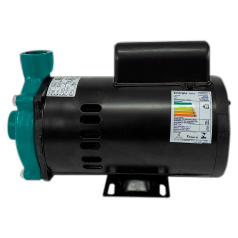 Motobomba-1-HP-60HZ-monofasica-ST-ECS-100MP-40542-ELETROPLAS-
