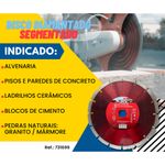 Disco-Segmentado-731699-MTX--5-