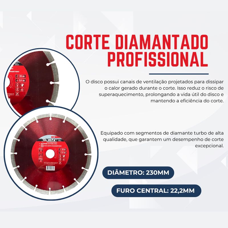 Disco Segmentado 731679 MTX -6-