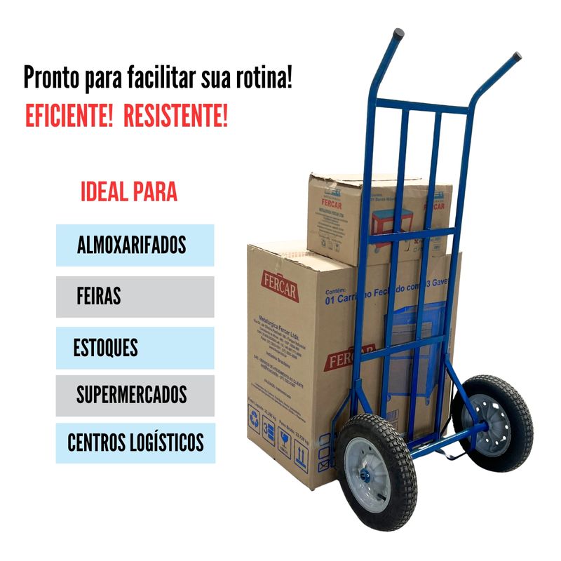 Geral